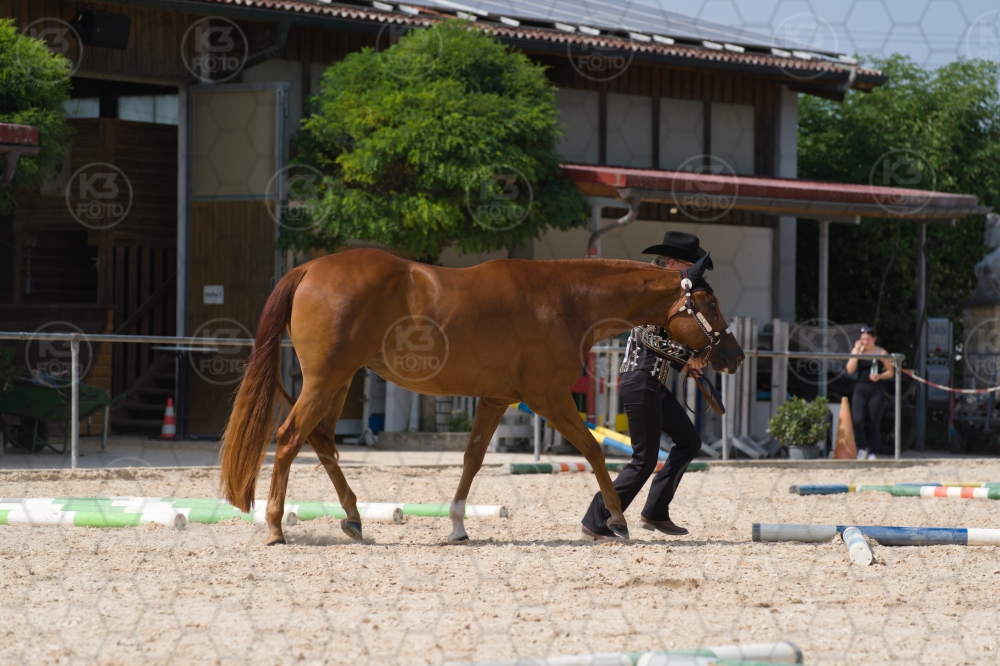 s_batch_A9_00141.jpg